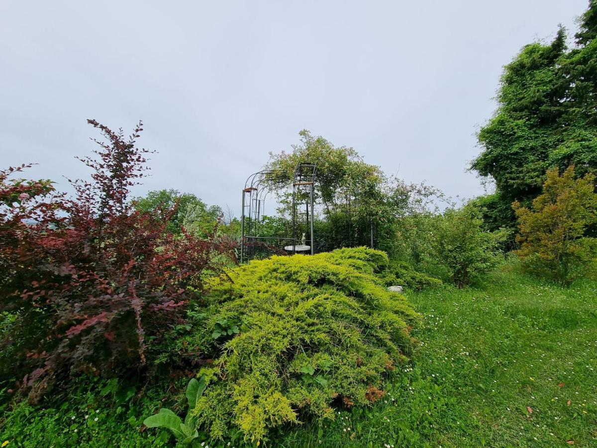 Garden Apartment Secovlje Bagian luar foto
