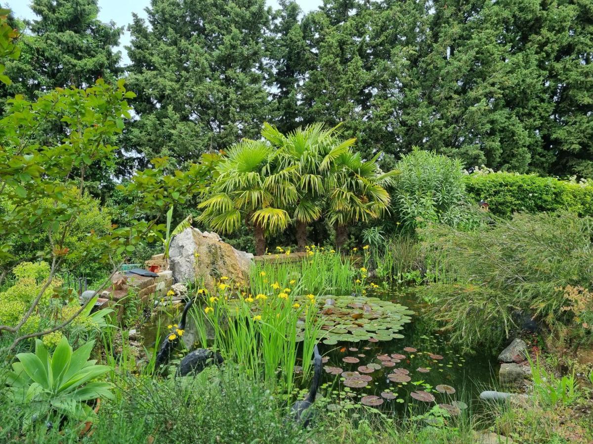 Garden Apartment Secovlje Bagian luar foto