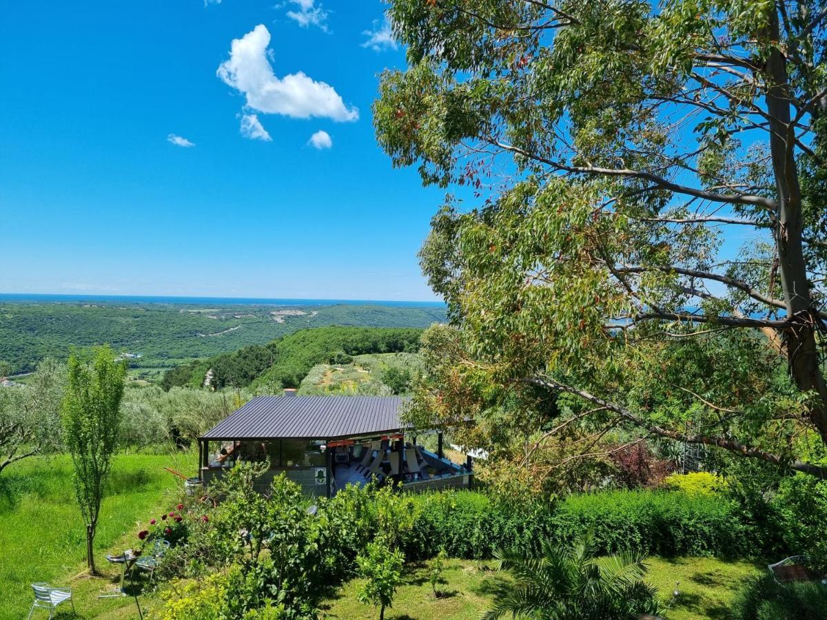 Garden Apartment Secovlje Bagian luar foto