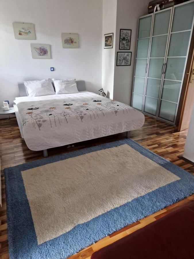 Garden Apartment Secovlje Bagian luar foto